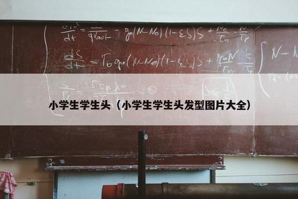 小学生学生头（小学生学生头发型图片大全）