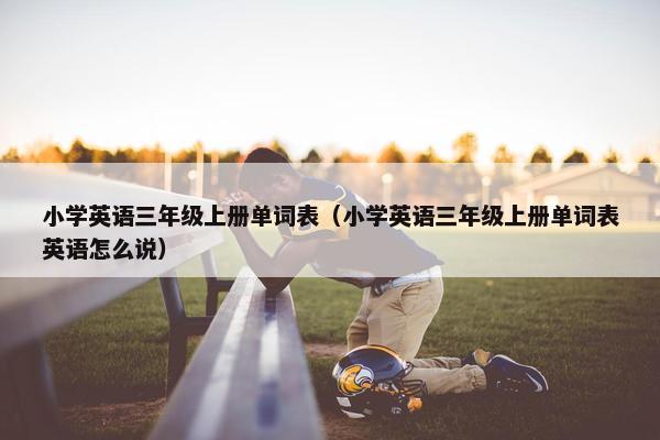 小学英语三年级上册单词表（小学英语三年级上册单词表英语怎么说）