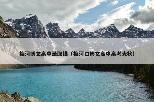 梅河博文高中录取线（梅河口博文高中高考大榜）