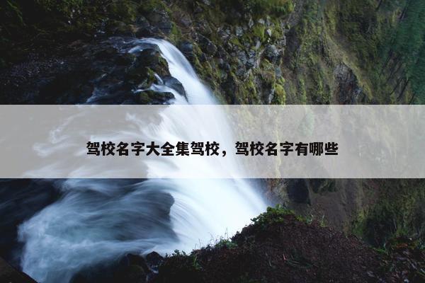 驾校名字大全集驾校，驾校名字有哪些