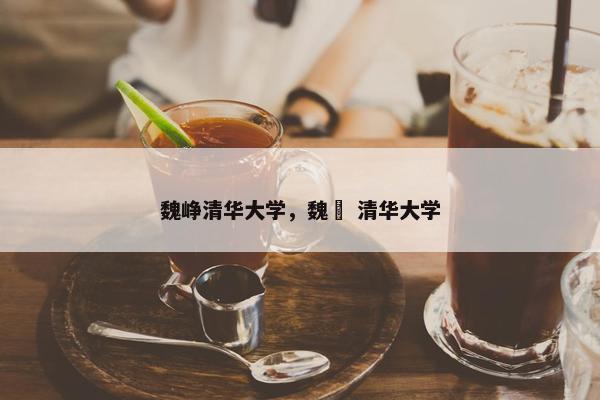 魏峥清华大学，魏韡 清华大学