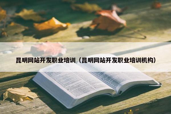 昆明网站开发职业培训（昆明网站开发职业培训机构）