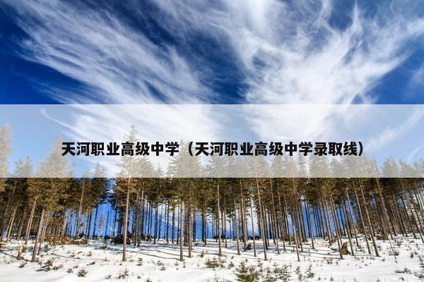 天河职业高级中学（天河职业高级中学录取线）