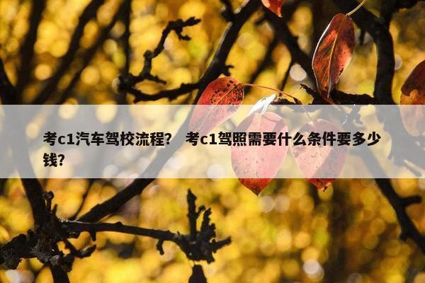 考c1汽车驾校流程？ 考c1驾照需要什么条件要多少钱？