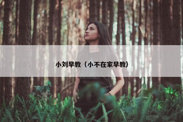 小刘早教（小不在家早教）