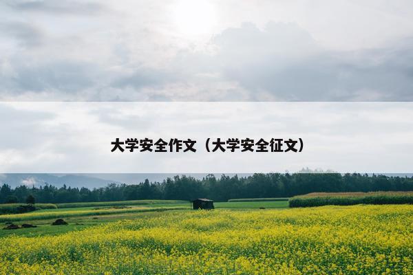 大学安全作文（大学安全征文）