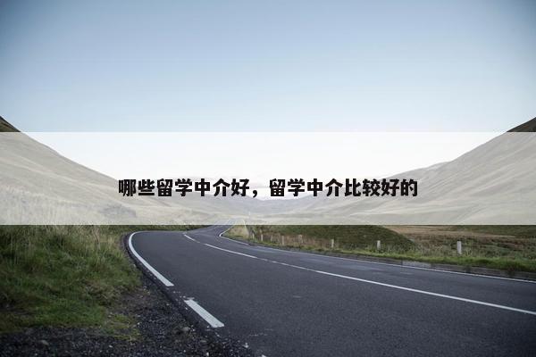 哪些留学中介好，留学中介比较好的