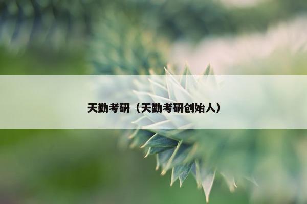 天勤考研（天勤考研创始人）