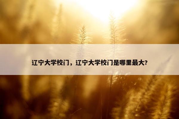 辽宁大学校门，辽宁大学校门是哪里最大?