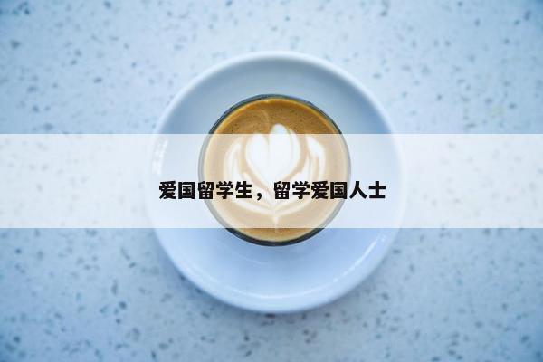 爱国留学生，留学爱国人士
