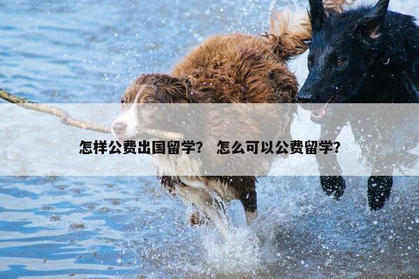 怎样公费出国留学？ 怎么可以公费留学？