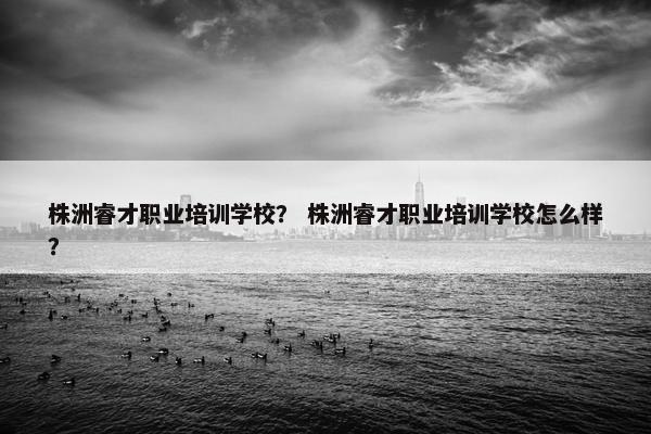 株洲睿才职业培训学校？ 株洲睿才职业培训学校怎么样？
