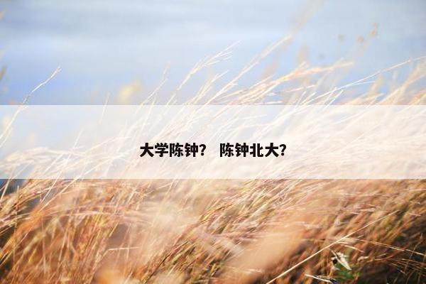 大学陈钟？ 陈钟北大？