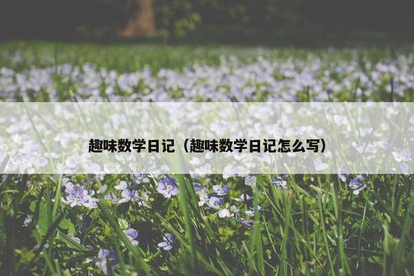 趣味数学日记（趣味数学日记怎么写）