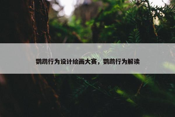 鹦鹉行为设计绘画大赛，鹦鹉行为解读