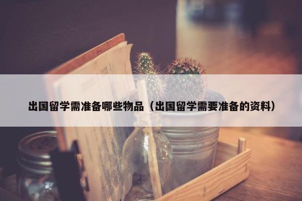 出国留学需准备哪些物品（出国留学需要准备的资料）