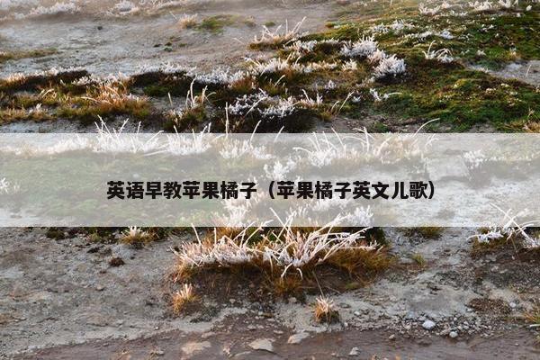 英语早教苹果橘子（苹果橘子英文儿歌）