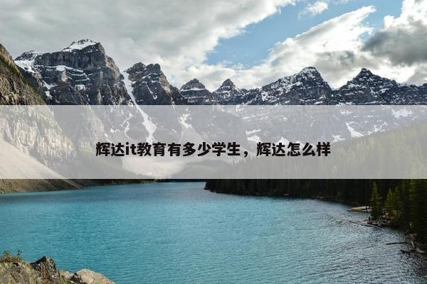 辉达it教育有多少学生，辉达怎么样