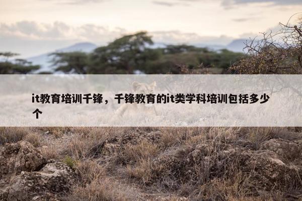 it教育培训千锋，千锋教育的it类学科培训包括多少个
