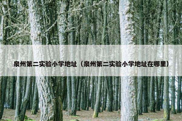 泉州第二实验小学地址（泉州第二实验小学地址在哪里）