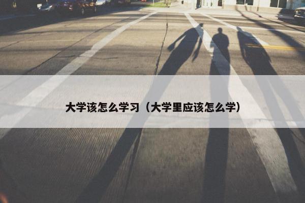 大学该怎么学习（大学里应该怎么学）