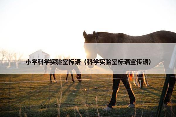 小学科学实验室标语（科学实验室标语宣传语）