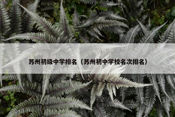 苏州初级中学排名（苏州初中学校名次排名）