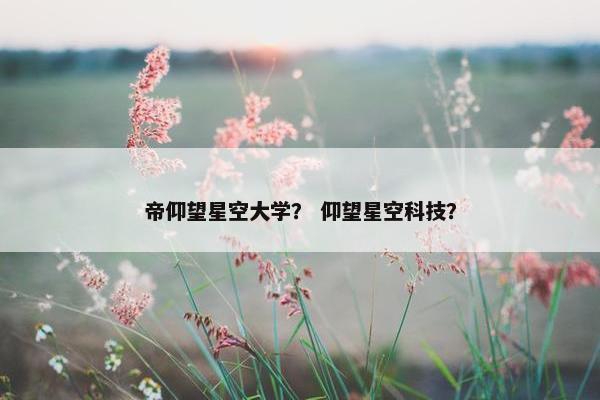 帝仰望星空大学？ 仰望星空科技？