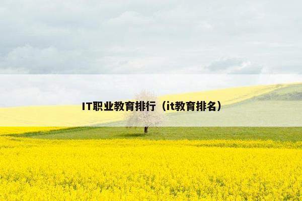 IT职业教育排行（it教育排名）