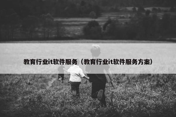 教育行业it软件服务（教育行业it软件服务方案）