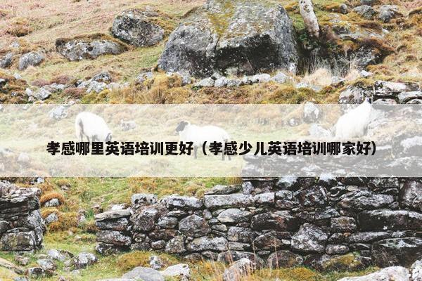 孝感哪里英语培训更好（孝感少儿英语培训哪家好）