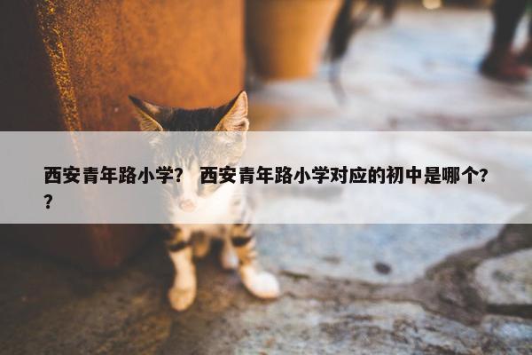 西安青年路小学? 西安青年路小学对应的初中是哪个??