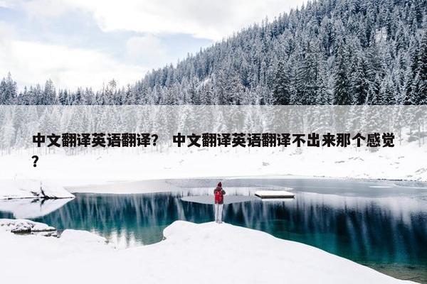 中文翻译英语翻译？ 中文翻译英语翻译不出来那个感觉？