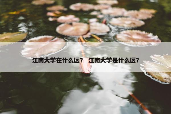 江南大学在什么区? 江南大学是什么区?