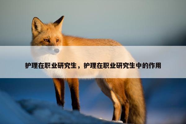 护理在职业研究生,护理在职业研究生中的作用
