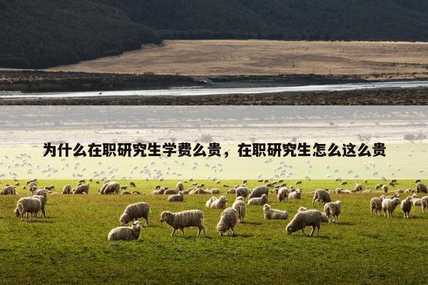 为什么在职研究生学费么贵,在职研究生怎么这么贵