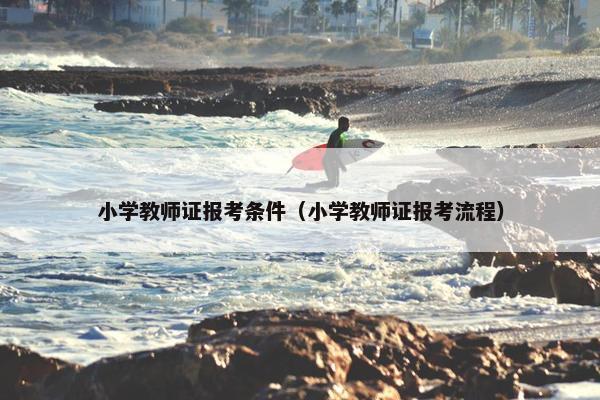 小学教师证报考条件(小学教师证报考流程)