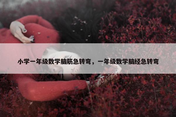 小学一年级数学脑筋急转弯,一年级数学脑经急转弯