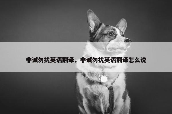 非诚勿扰英语翻译,非诚勿扰英语翻译怎么说