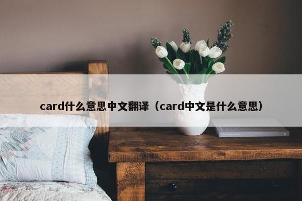 card什么意思中文翻译(card中文是什么意思)