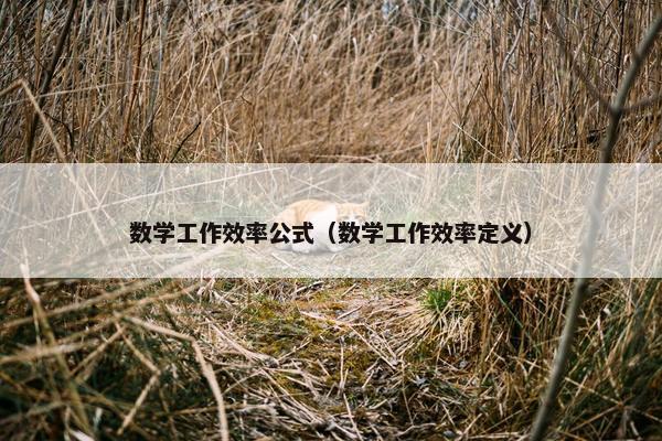 数学工作效率公式(数学工作效率定义)
