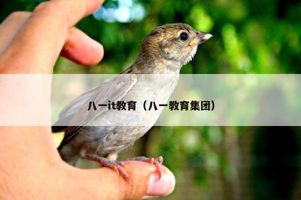 八一it教育(八一教育集团) 八一it教育(八一教育集团)