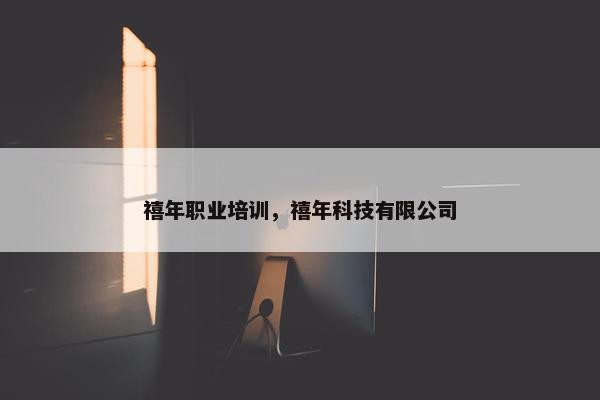 禧年职业培训,禧年科技有限公司