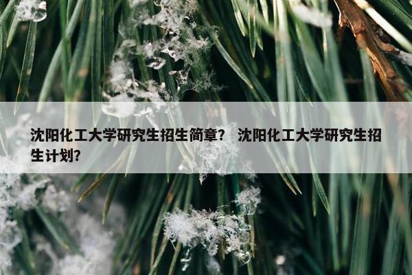 沈阳化工大学研究生招生简章? 沈阳化工大学研究生招生计划?