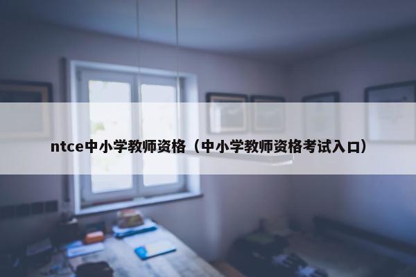 ntce中小学教师资格(中小学教师资格考试入口)