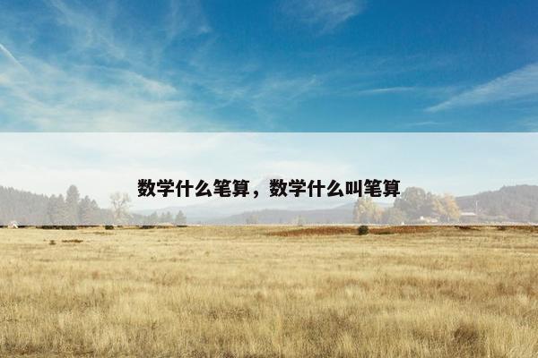 数学什么笔算,数学什么叫笔算