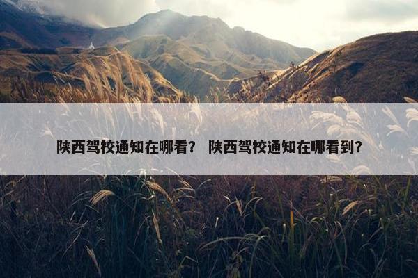 陕西驾校通知在哪看? 陕西驾校通知在哪看到? 陕西驾校通知在哪看? 陕西驾校通知在哪看到?