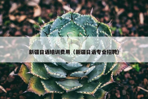 新疆日语培训费用(新疆日语专业招聘)