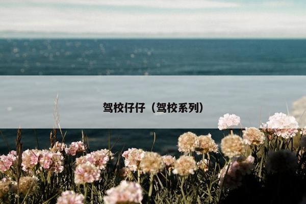 驾校仔仔(驾校系列)