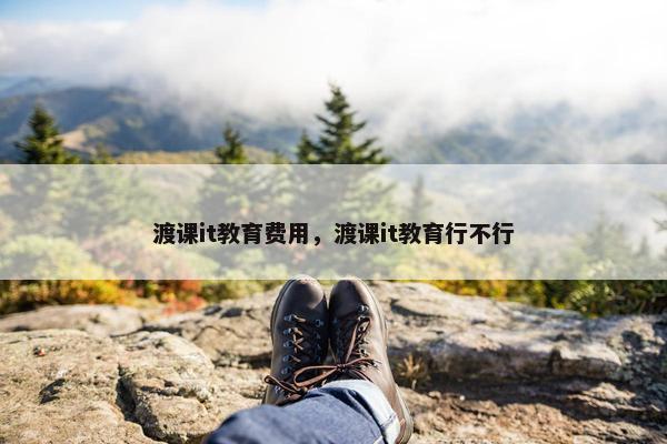 渡课it教育费用,渡课it教育行不行